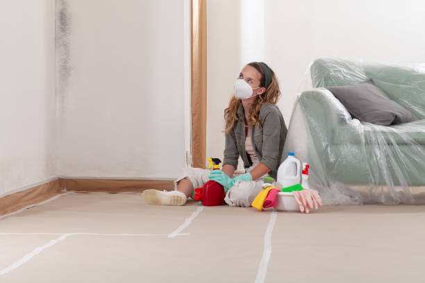 Reliable Mold Remediation contractor in Burnsville, MN by Car Mold Remediation
